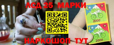 индика Камышлов