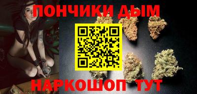 индика Камышлов