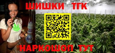 индика Камышлов