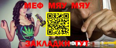 индика Камышлов