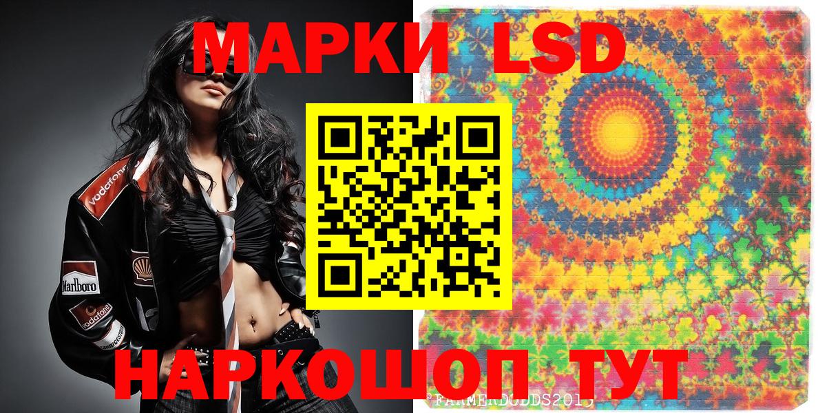 Меф Краснодар