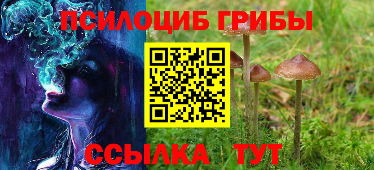 Краснодар  Галлюциногенные грибы MAGIC MUSHROOMS  Вход с VPN 